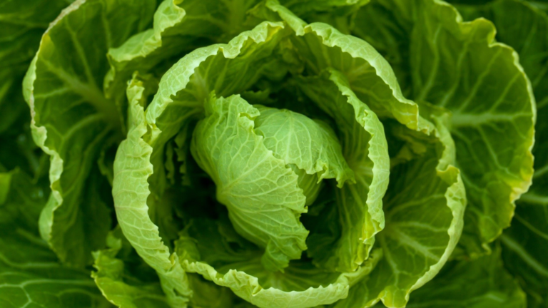 salată