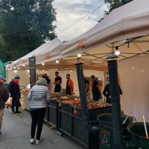 Plită de carne și legume dublă / 500 RON