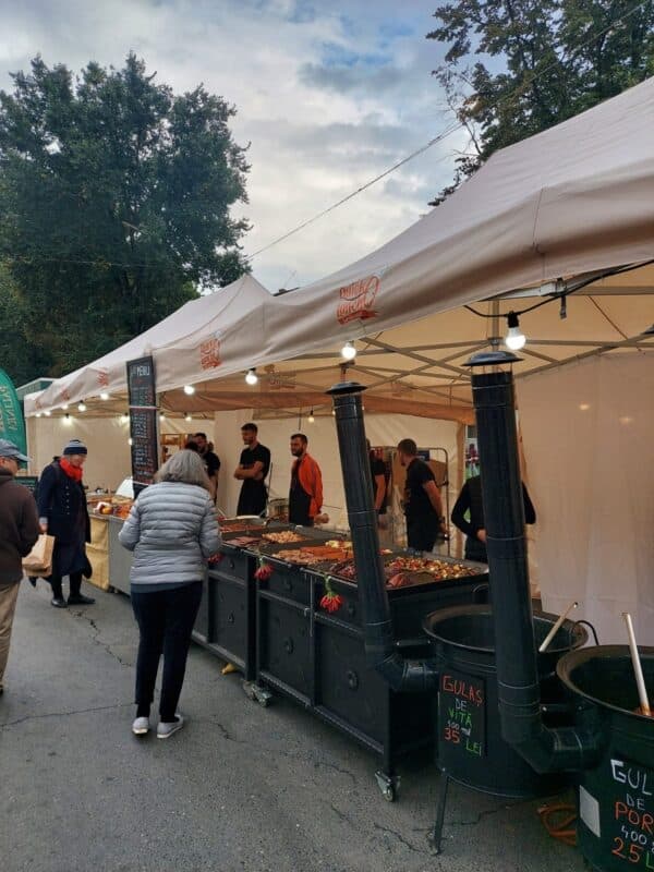 Plită de carne și legume dublă / 500 RON